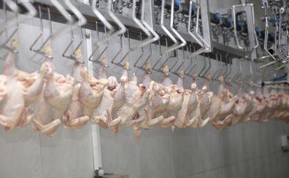 关于美国禽屠宰HIMP的食品安全法规