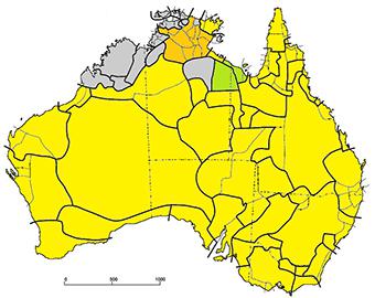 澳原住民语言对于数字的概念随着时间不断改变